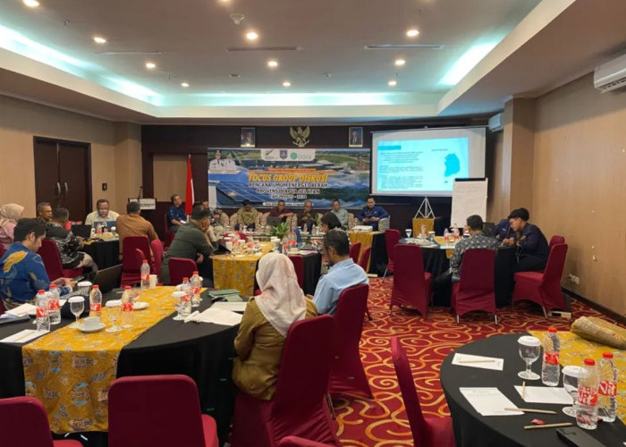 Pemprov Papua Selatan Gelar FGD Bahas Rencana Umum Energi Daerah