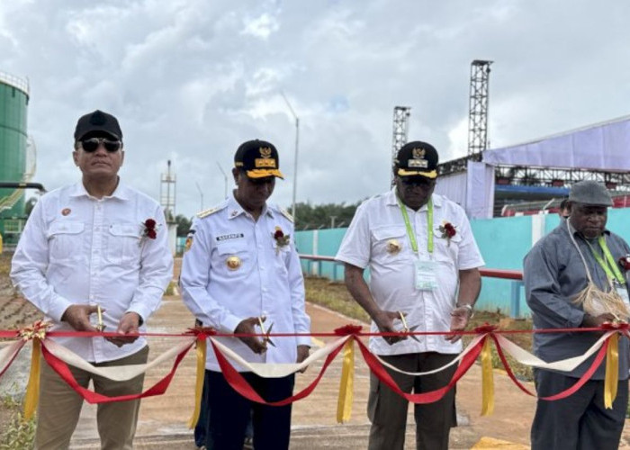 TSE Group Resmikan PLTBg dan CBG Pertama di Papua Selatan, Dorong Energi Ramah Lingkungan