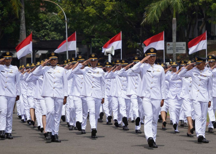 Papua Selatan Kirim 244 Peserta IPDN ke Tahap SKD, Bersaing untuk 12 Kuota