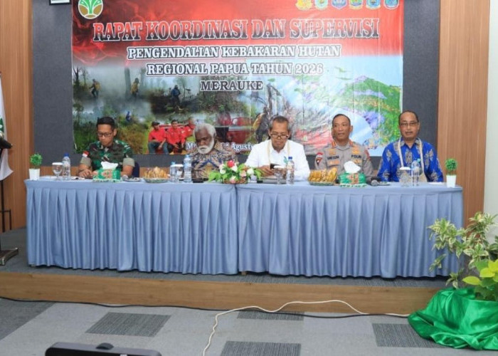 Cegah Kebakaran Hutan dan Lahan di Tanah Papua: Pemprov Dorong Strategi Kolaborasi Lintas Sektor
