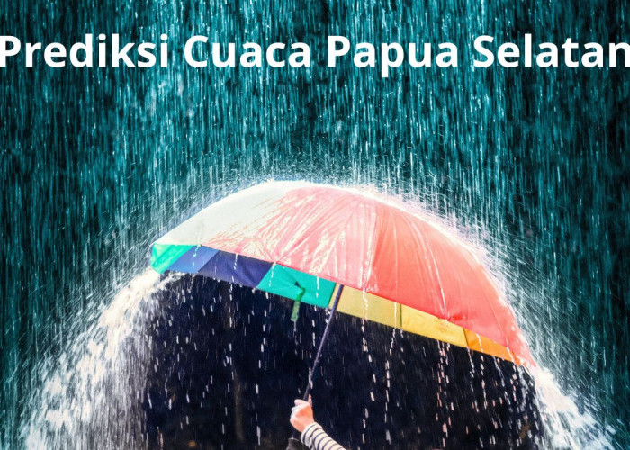 Cuaca Papua Selatan Hari Ini: Waspada Hujan di Beberapa Wilayah, Gelombang Laut Arafuru Tinggi