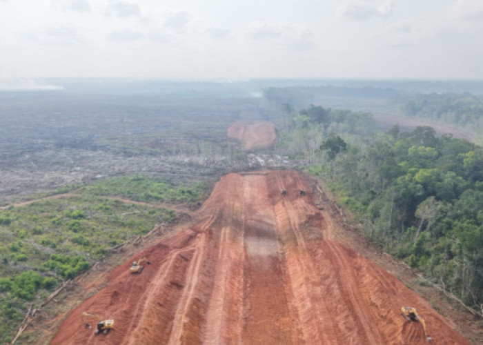 Konflik Agraria PSN Merauke Memanas: Salib Simbol Perlawanan Marga Moyuwend Buako Dirusak