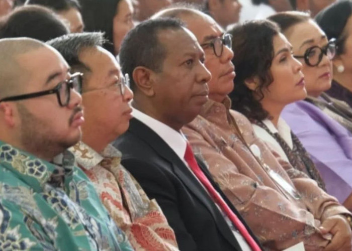 Dongkrak Kualitas SDM Daerah, Pemprov Papua Selatan Jajaki Kerja Sama Strategis dengan IT Del