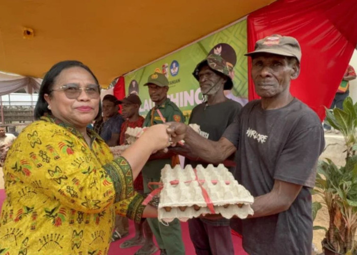 Pelopor Papua Selatan: SMKN 4 Mappi Resmi Luncurkan Produksi Ayam Petelur Berbasis Wirausaha Siswa