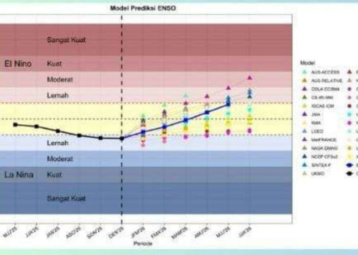 Waspada Cuaca Ekstrem, BMKG Papua Selatan Prediksi Curah Hujan Meningkat hingga Februari 2026