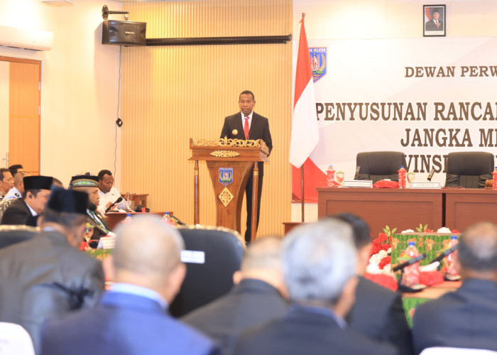 RPJMD Papua Selatan 2025-2029: Peta Jalan Pembangunan Berkelanjutan untuk Masyarakat Bermartabat