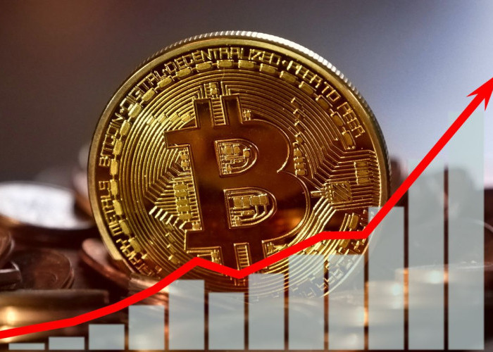 Supply Bitcoin Hampir Habis, Apa Dampaknya untuk Harga dan Investor?