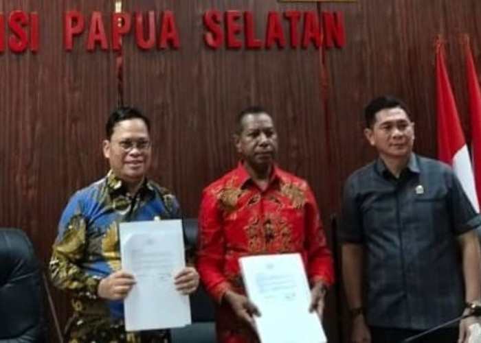 Pemprov Papua Selatan dan DPD RI Sepakat Perkuat Sinergi untuk Percepatan Pembangunan