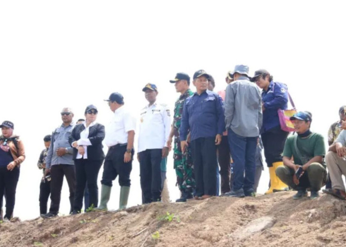 Lompatan Besar Pertanian Papua Selatan: Kementan Targetkan Cetak Sawah 50 Ribu Hektare di 2026