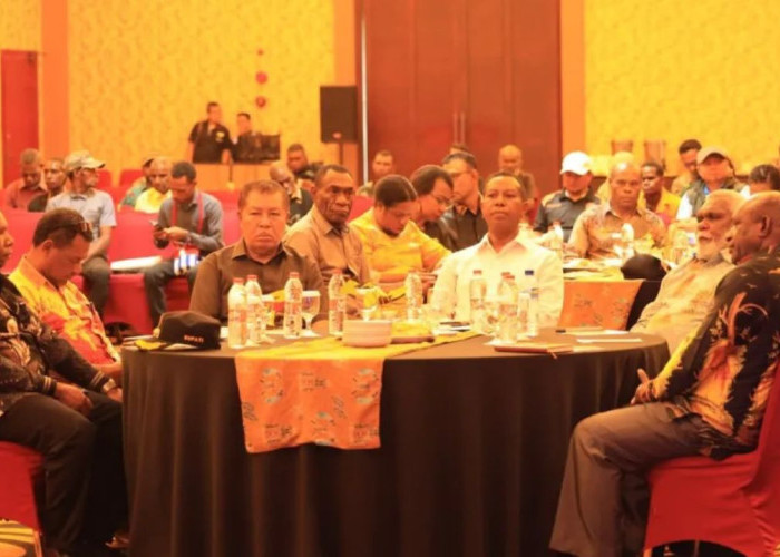 Investasi Papua Selatan Jadi Kunci Pembangunan, Gubernur Minta DPMPTSP Proaktif Dampingi Pengusaha