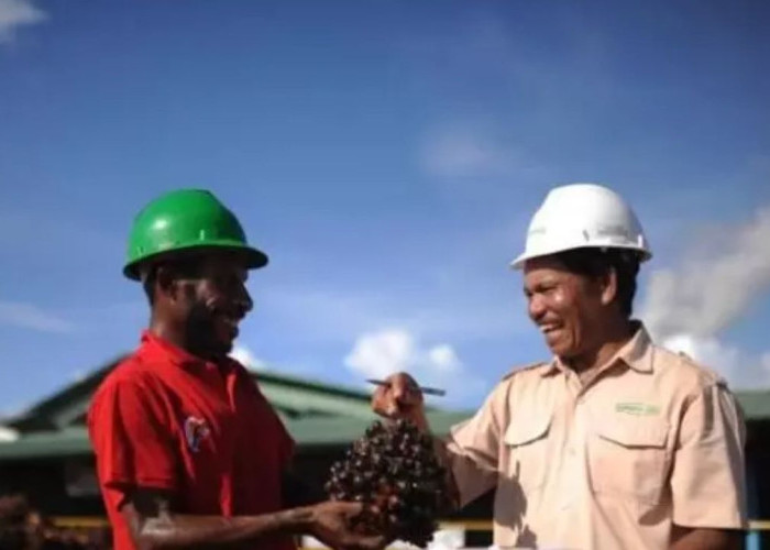 Dorong Kesejahteraan Lokal, Pemprov Papua Selatan Prioritaskan Orang Asli Papua di Proyek PSN