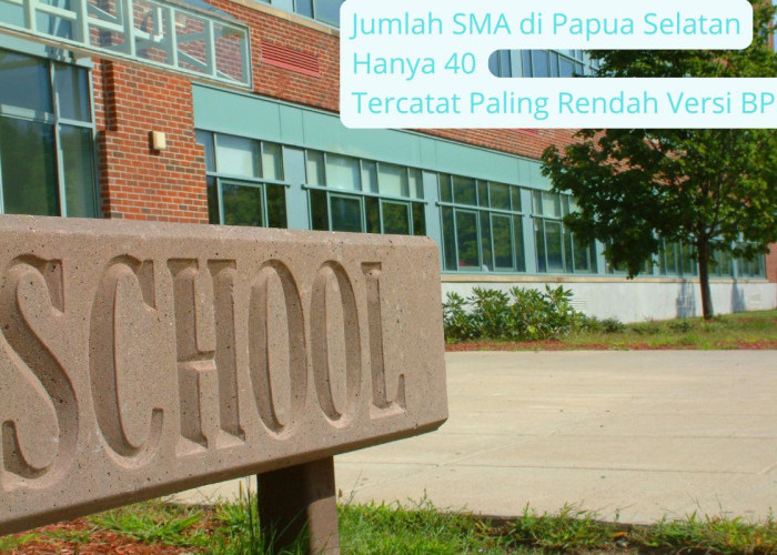 BPS Catat Papua Selatan Punya Jumlah SMA Paling Sedikit di Indonesia