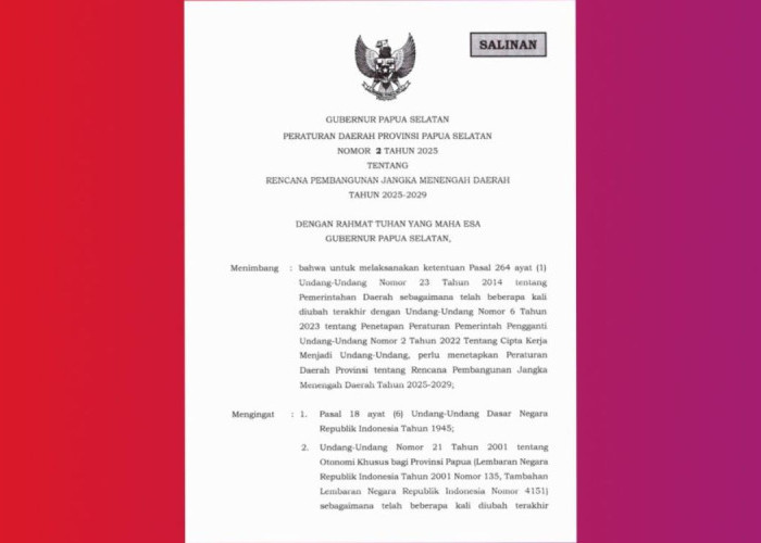 Peta Jalan Papua Selatan 2029: Fokus RPJMD dalam Menekan Angka Stunting Secara Signifikan