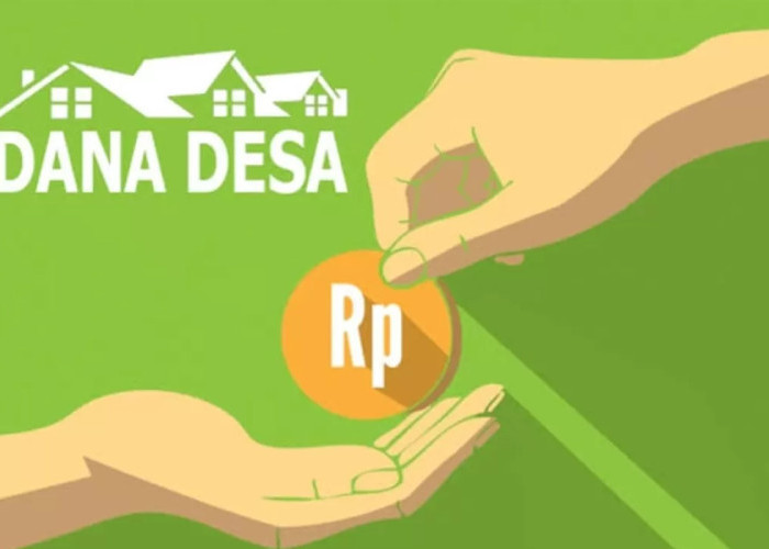Dana Desa 2025 Papua Selatan: Alokasi Rp684,9 Miliar untuk 4 Kabupaten
