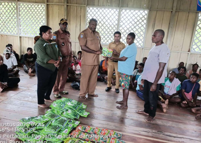 Bibit Sayuran dari Dinas P2KP Papua Selatan Dorong Ketahanan Pangan Warga Asmat