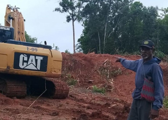 Tanah Adat Marga Kwipalo Tergerus Pembangunan, Warga Merauke Mencari Keadilan