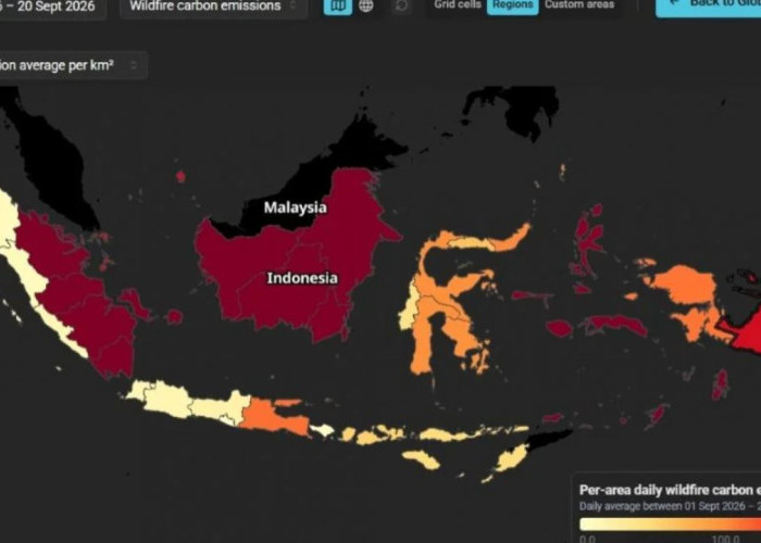 Ribuan Titik Panas Mengepung Area Proyek Lumbung Pangan di Kalimantan Tengah dan Papua