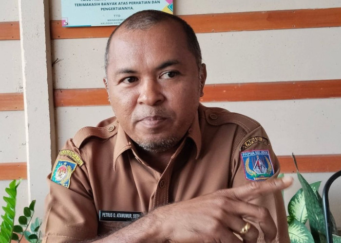 Efisiensi Anggaran Ketat, Volume Tender Pemerintah Provinsi Papua Selatan Turun Signifikan Tahun Ini