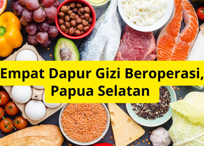 Dapur Gizi hingga TKG, Papua Selatan Genjot Program Kesehatan Masyarakat 2025