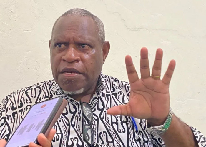 MRP Papua Selatan Dukung Penolakan Pemerintah Mappi terhadap Perusahaan Sawit