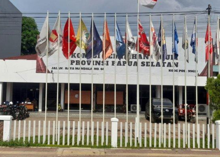 KPU Papua Selatan Dinyatakan Bersih dari Pelanggaran Kode Etik oleh DKPP