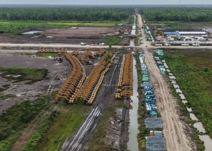 Jeritan Masyarakat Adat Papua: Gugat Keputusan Kemenhut Terkait Status Ratusan Ribu Hektar Hutan