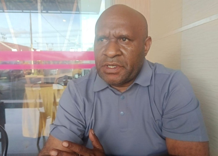 Potensi Terbengkalai: Pemprov Papua Selatan Didorong Seriusi Tata Kelola Perkebunan Karet