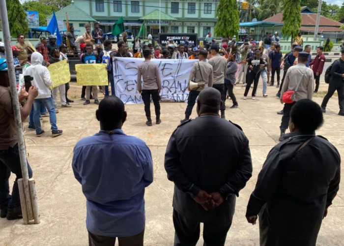 MRP Papua Selatan: Mahkota Cenderawasih Harus Dilindungi, Bukan Dibakar