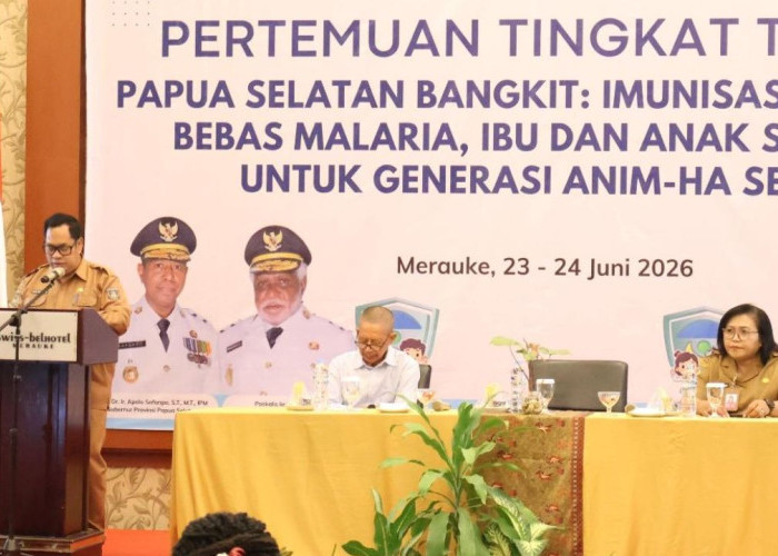 Dua Hari Bahas Strategi Kesehatan, Pemprov Papua Selatan Tekan Angka Kematian Ibu dan Anak