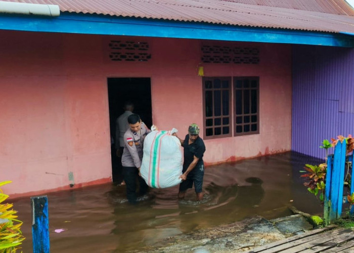 Curah Hujan Tinggi Sebabkan Banjir di Mappi, Papua Selatan: 233 Warga Mengungsi