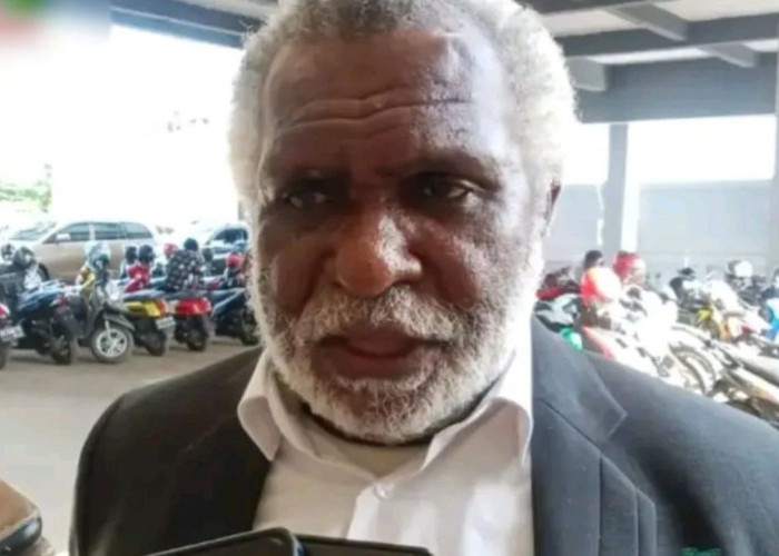 Dominasi Pelamar Luar di CPNS 2024, Wagub Papua Selatan Protes ke Kemenpan RB