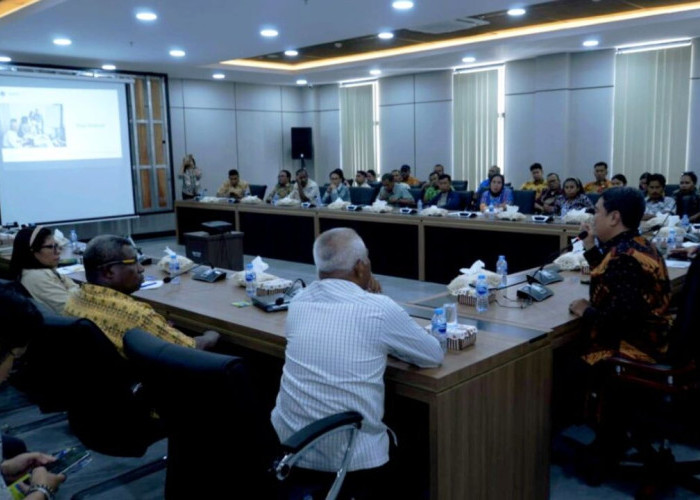 Atasi Kendala Penilaian Aset Daerah, Pemprov Papua Selatan Dorong Pembentukan Jabatan Fungsional Penilai