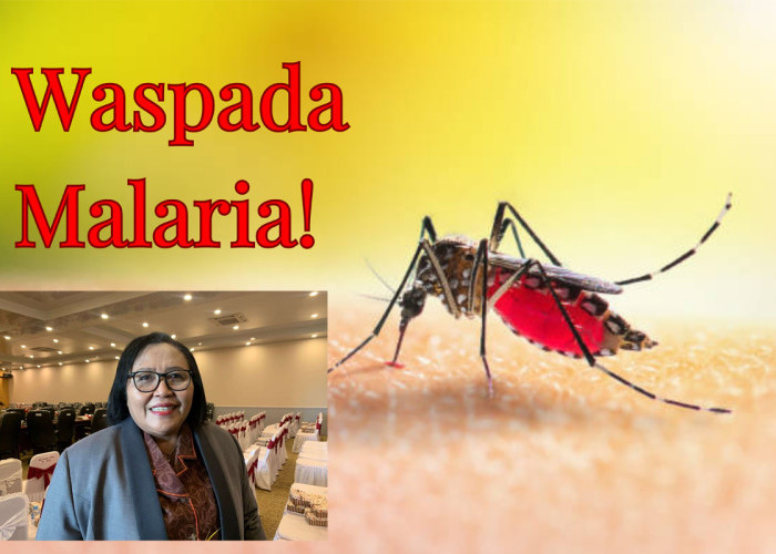 Papua Selatan Sumbang 10 Persen Kasus Malaria di Papua, Tapi Ada Harapan!