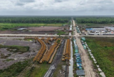 Suara dari Merauke: Perlawanan Masyarakat Adat Terhadap Pelepasan Masif Kawasan Hutan Papua Selatan