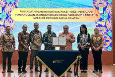 PT Waskita Karya Garap Irigasi Rawa 77 Km di Papua Selatan, Dorong Produktivitas Pertanian