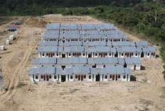 REI Papua Selatan Targetkan 230 Unit Rumah Subsidi di 2026: Peluang Emas bagi MBR