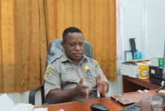 Pemprov Papua Selatan Bebaskan Denda PKB Agustus 2026, Warga Diimbau Manfaatkan Kesempatan