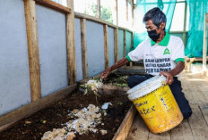 Pemprov Papua Selatan dan WWF Indonesia Dorong Pengolahan Sampah Organik Menjadi Energi Terbarukan