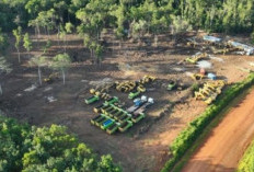 Membuka Tabir Keterisolasian: Proyek Jalan KSPP Wanam–Muting Jadi Urat Nadi Baru Ekonomi Papua Selatan