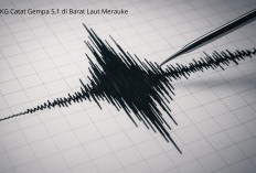 Gempa M 5,1 Guncang Merauke Tengah Malam, BMKG Pastikan Tidak Berpotensi Tsunami