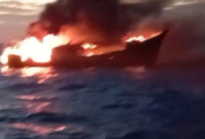 Dramatis! Tim SAR Gabungan Berhasil Evakuasi 26 Awak KM Mekar Alam B yang Terbakar di Merauke