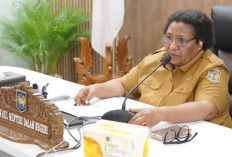 Syarat Pencairan Dana Otsus Papua Dipangkas, Wamendagri Minta Pemda Gerak Cepat