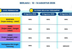 Prakiraan Cuaca BMKG Papua Selatan 12-14 Agustus 2026: Merauke Waspada Potensi Angin Kencang