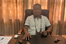 Disperindagkop Merauke Jelaskan Penyebab Langkanya Sejumlah Material Bangunan