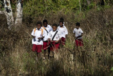 GUBERNUR APOLO SAFONO! Tanpa Keistimewaan Nyata, UU Otsus Papua Perlu Segera Direvisi