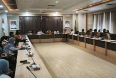 Memasuki Usia Empat Tahun, Pelaksanaan Pemerintahan Papua Selatan Dievaluasi DPR RI dan Kemendagri