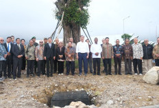 Mengoptimalkan Biodiversitas: Kolaborasi Riset Hortikultura TSTH2 dan Peluang Pengembangannya di Papua
