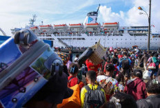Percepatan Pembangunan Pelabuhan Wanam Perkuat Konektivitas Laut Papua Selatan