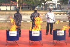 Sinergi Kodaeral XI dan Bea Cukai Musnahkan Jutaan Batang Rokok Ilegal di Papua Selatan