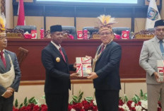 Raih Opini WTP atas Laporan Keuangan 2025, Pemprov Papua Selatan Fokus Benahi Tata Kelola